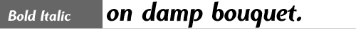 sample text setting of Clear Prairie Dawn Bold Italic